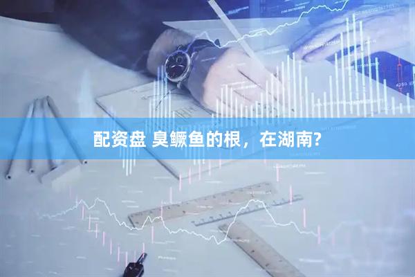 配资盘 臭鳜鱼的根，在湖南?