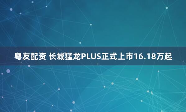 粤友配资 长城猛龙PLUS正式上市16.18万起